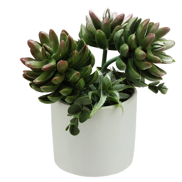 Northlight 8" Potted Green and White Mixed Succulent Artificial Plants